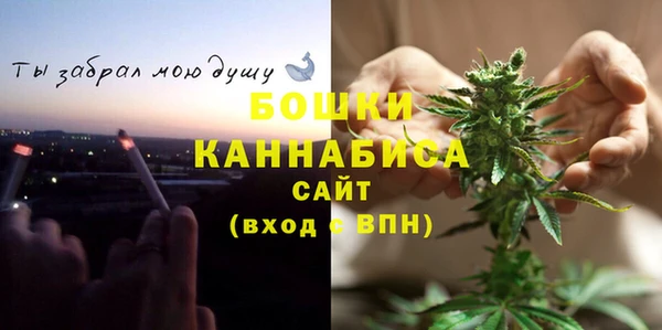 ПСИЛОЦИБИНОВЫЕ ГРИБЫ Белоозёрский