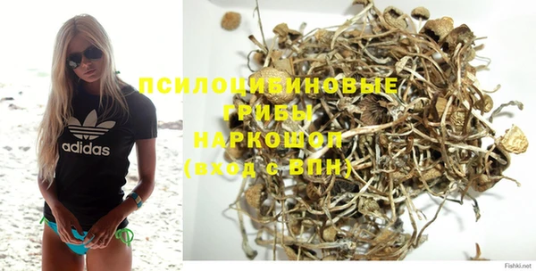 ПСИЛОЦИБИНОВЫЕ ГРИБЫ Белоозёрский
