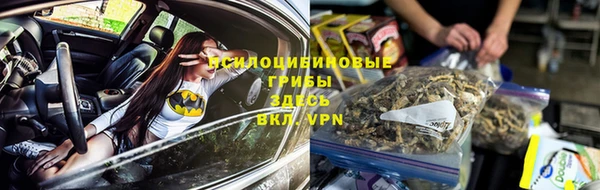 ПСИЛОЦИБИНОВЫЕ ГРИБЫ Белоозёрский