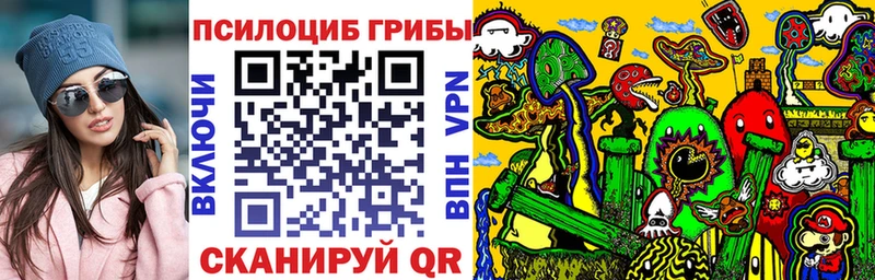 Галлюциногенные грибы Cubensis Красково
